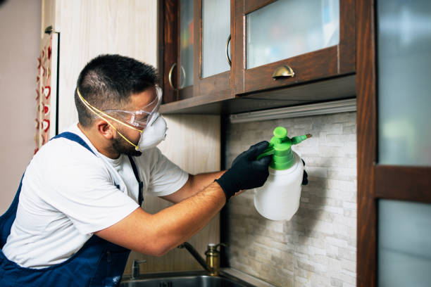 Best Commercial Pest Control Services  in Hillsborough, NC