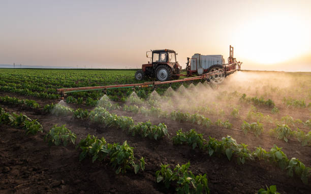 Best Mosquito Control Services  in Hillsborough, NC