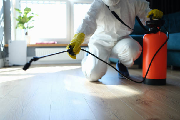 Best Insect Control  in Hillsborough, NC
