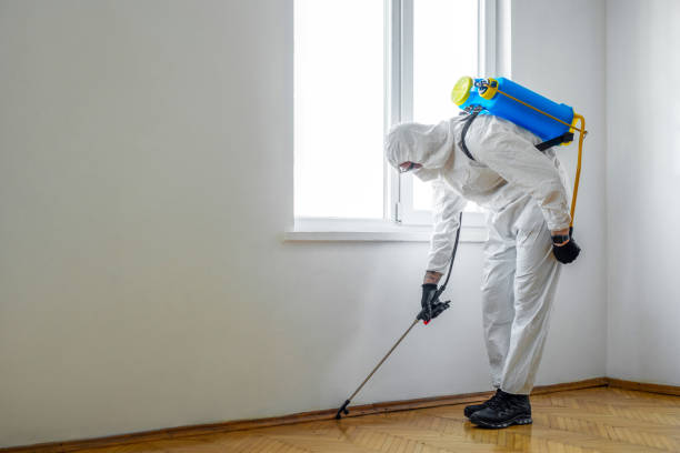Best Ant Control Services  in Hillsborough, NC