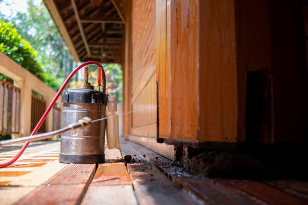Reliable Hillsborough, NC Pest Control Solutions
