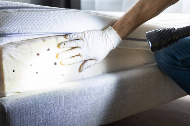 Best Pest Control Treatment  in Hillsborough, NC
